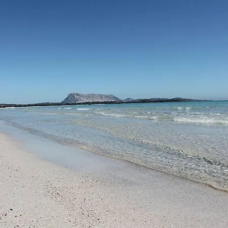 Semesterbostad 650 M By Budoniaffitti Budoni