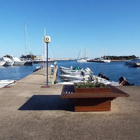 650 M By Budoniaffitti *